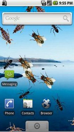 Creepy Crawlies