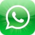 Whatsapp Samsung Ch@t 335