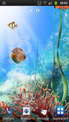 Acquarium