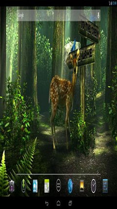 Forest HD