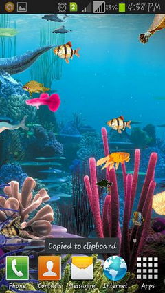 aQUARIUM nEW