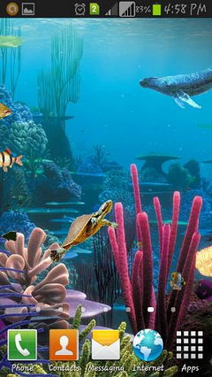 aQUARIUM nEW