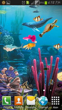 aQUARIUM nEW