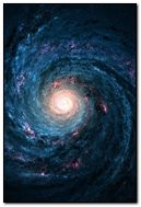Cosmos