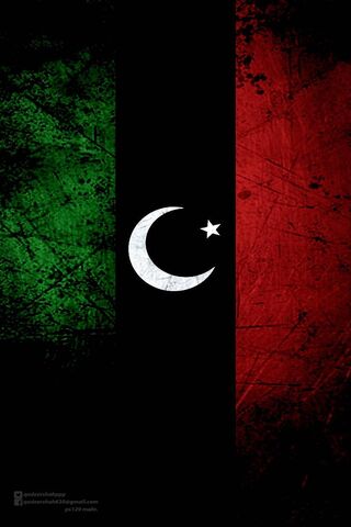 Ppp Flag