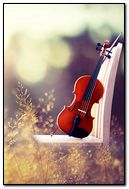Violin