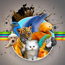 Animal Sounds